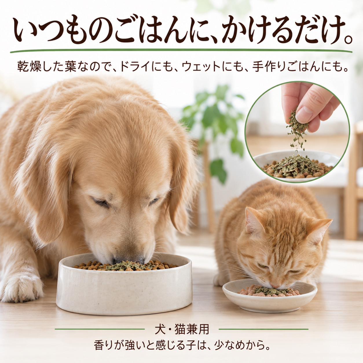 犬猫用 皮膚炎 痒み 痒い アレルギー 天然のサプリ ハーブ ネトル 20g 国産 無添加 有機 ペット用 | ドッグダイナー | 14