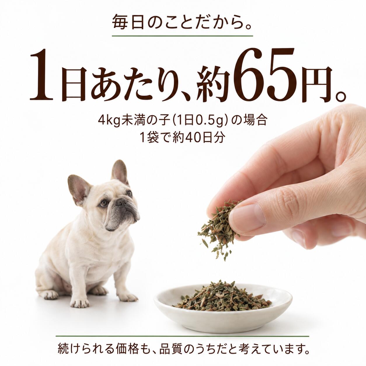 犬猫用 皮膚炎 痒み 痒い アレルギー 天然のサプリ ハーブ ネトル 20g 国産 無添加 有機 ペット用 | ドッグダイナー | 15