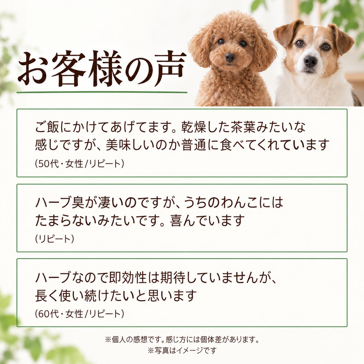 犬猫用 皮膚炎 痒み 痒い アレルギー 天然のサプリ ハーブ ネトル 20g 国産 無添加 有機 ペット用 | ドッグダイナー | 16