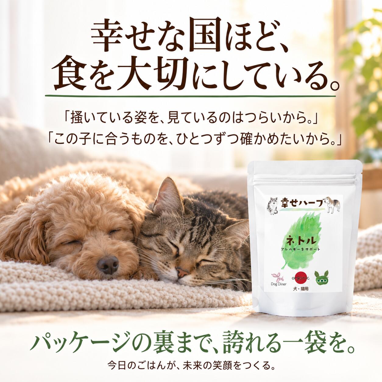 犬猫用 皮膚炎 痒み 痒い アレルギー 天然のサプリ ハーブ ネトル 20g 国産 無添加 有機 ペット用 | ドッグダイナー | 17