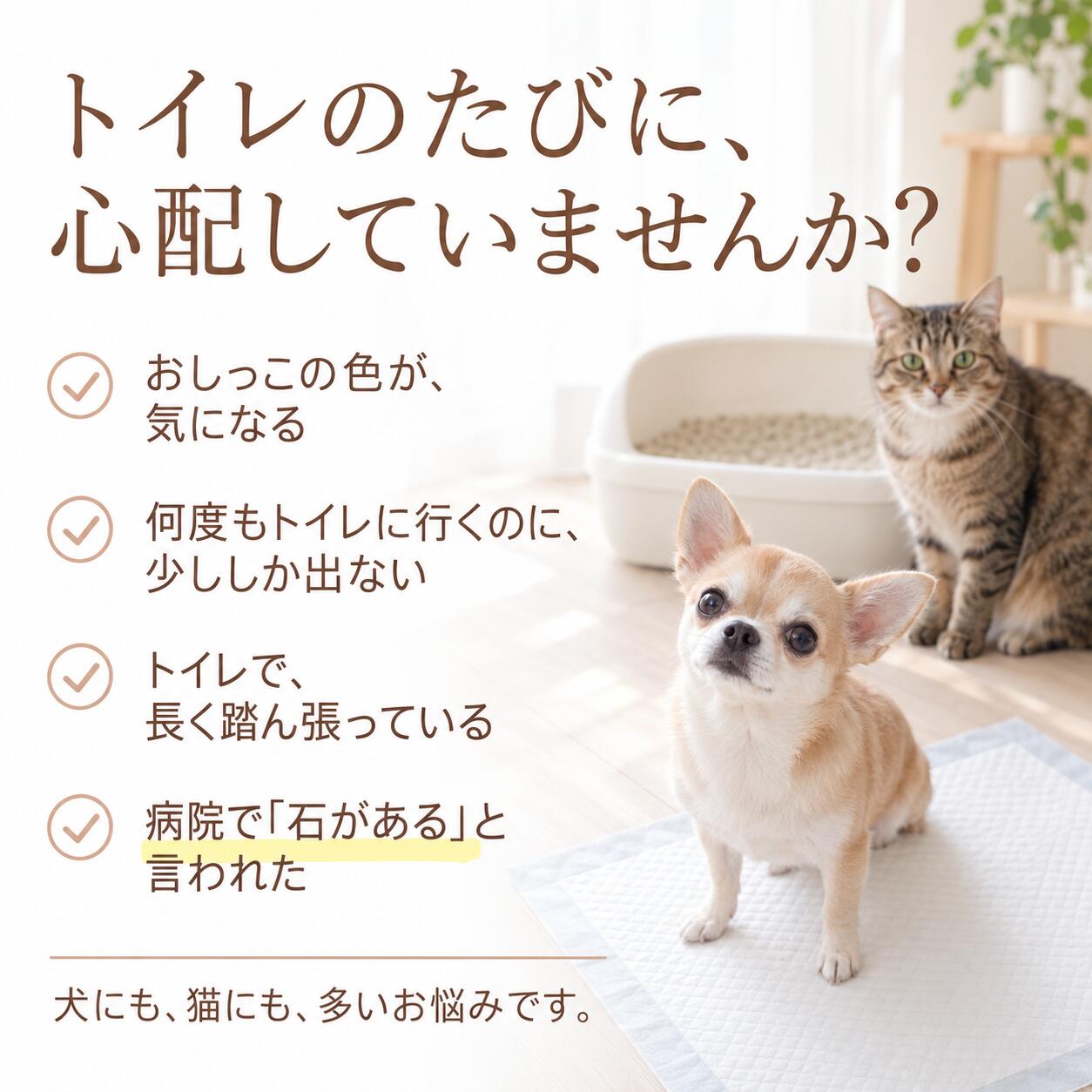 ドッグダイナー 出けっせき取ります 30g 小型犬約15日分 犬 猫 結石