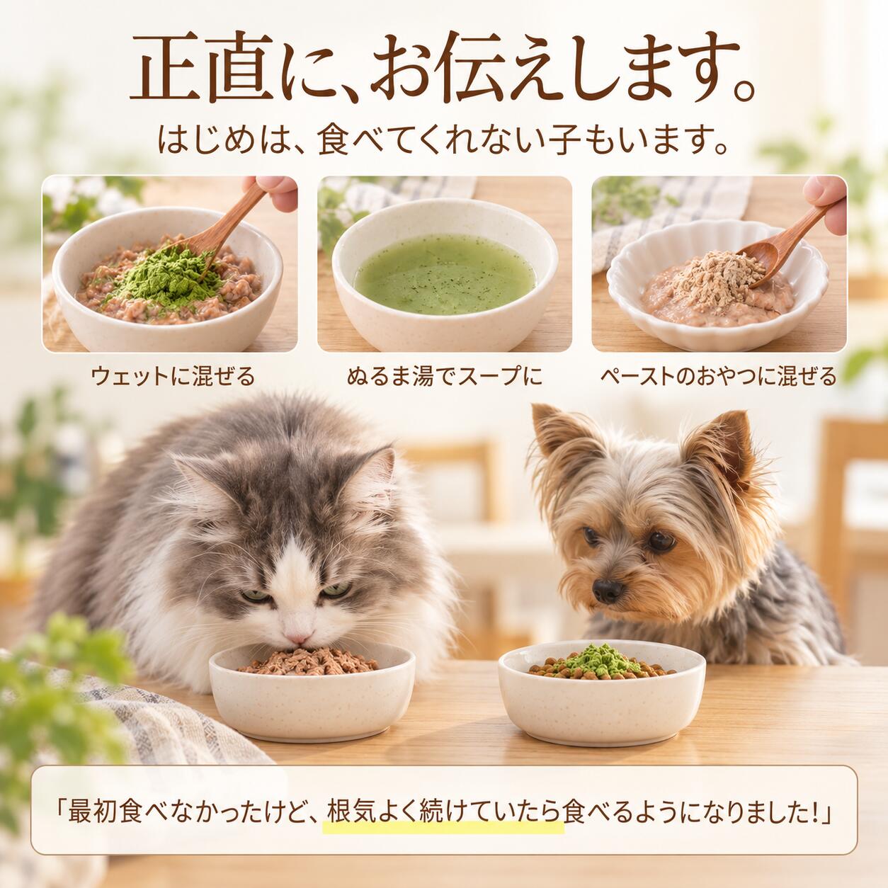ドッグダイナー 出けっせき取ります 30g 小型犬約15日分 犬 猫 結石