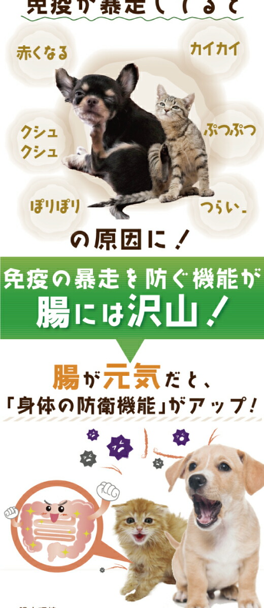 犬・無添加・サプリ・サプリメント・アレルギー性皮膚炎・アトピー・痒み・痒い