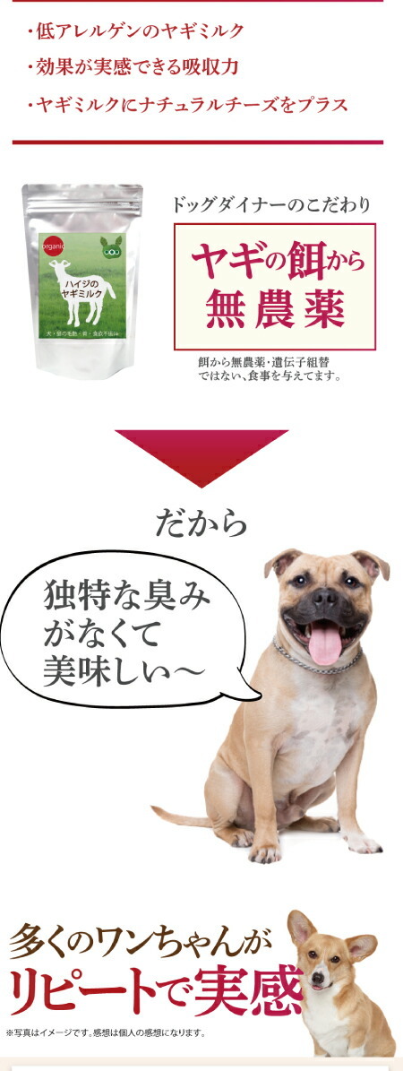 犬 猫 ペット用 ヤギミルク ハイジの ヤギミルクパウダー 無添加 天然 送料無料 S 犬のご飯とケーキのドッグダイナー 通販 Yahoo ショッピング 일본 미국구매대행 직구 4do