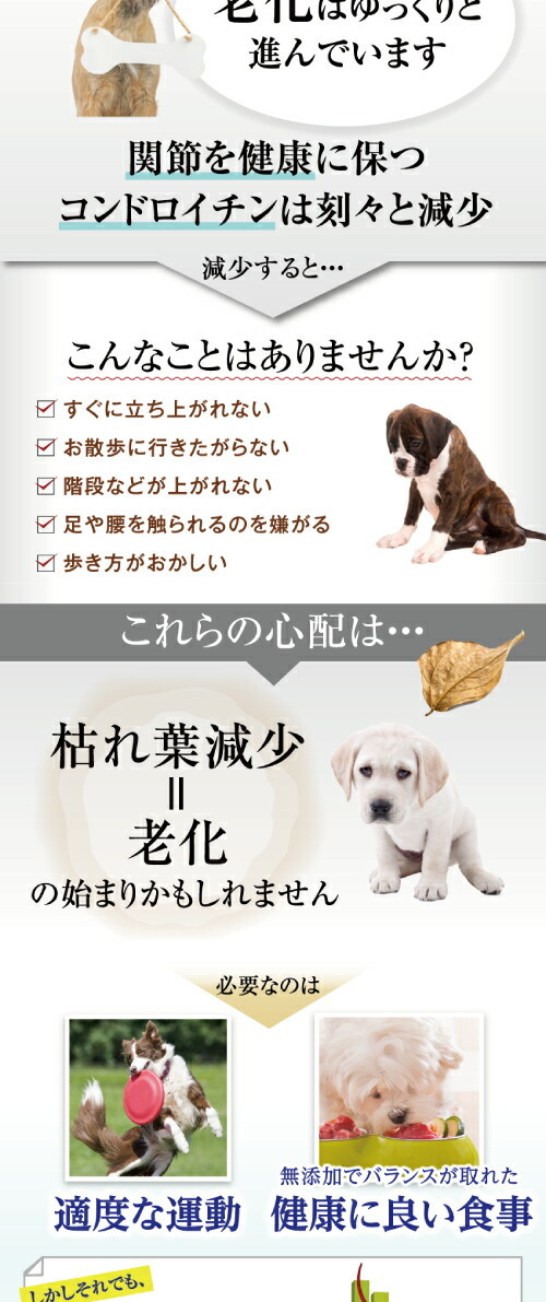 犬・白内障・視力・涙やけ・無添加 サプリメント サプリ