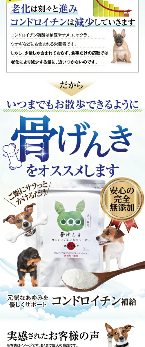 犬・白内障・視力・涙やけ・無添加 サプリメント サプリ