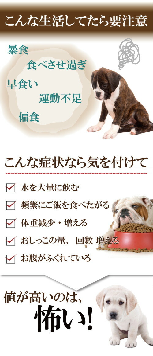 犬用 ダイエット 糖質管理 サプリ 糖のceo 30g 無添加 メール便 送料無料 Tounoceo 犬のご飯とケーキのドッグダイナー 通販 Yahoo ショッピング
