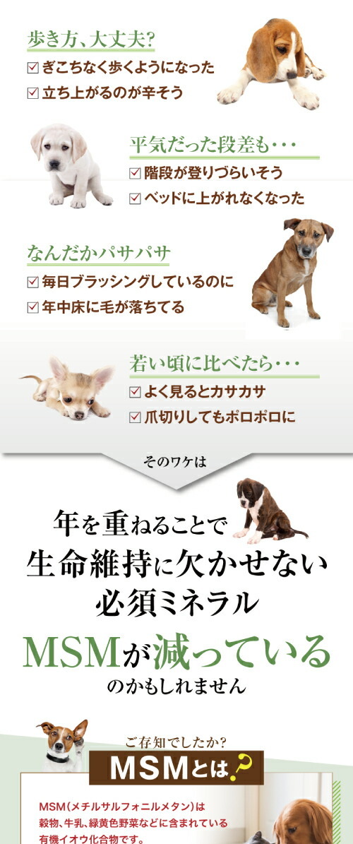 犬の関節・脱臼・足・免疫にMSM・無添加・粉末