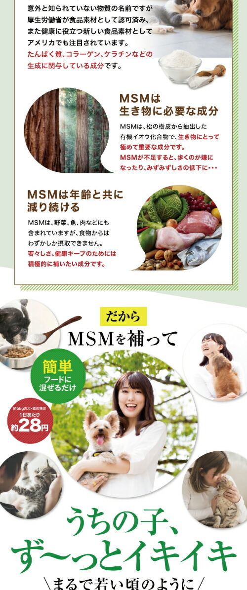 犬の関節・脱臼・足・免疫にMSM・無添加・粉末