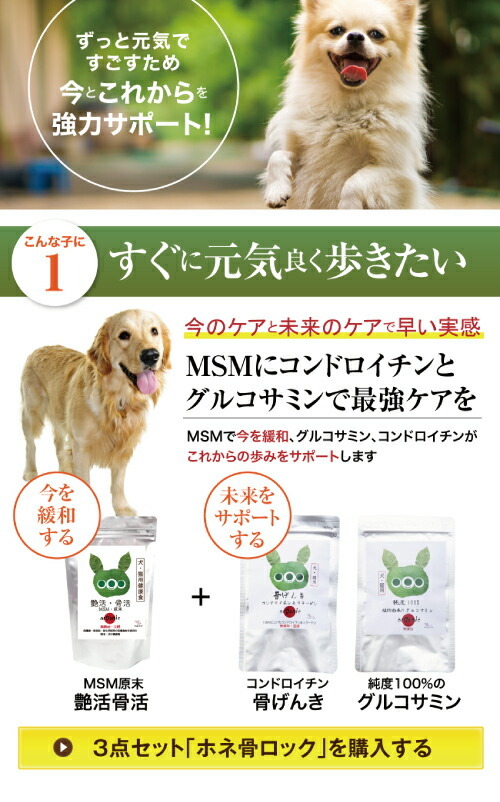 犬の関節・脱臼・足・免疫にMSM・無添加・粉末