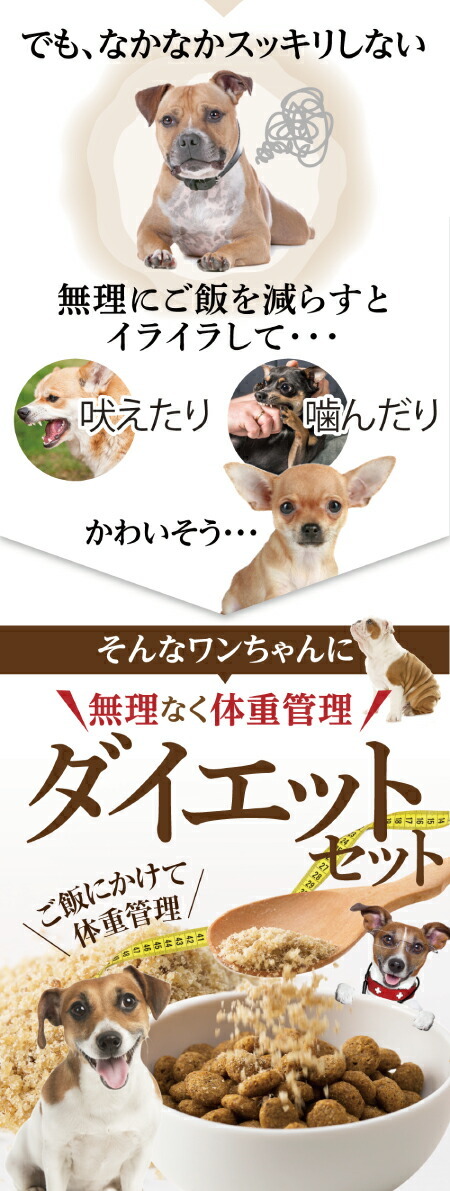 犬 猫用 体重管理 サプリ ダイエット セット 無添加 酵素ダイエット メール便 送料無料 New5 犬のご飯とケーキのドッグダイナー 通販 Yahoo ショッピング