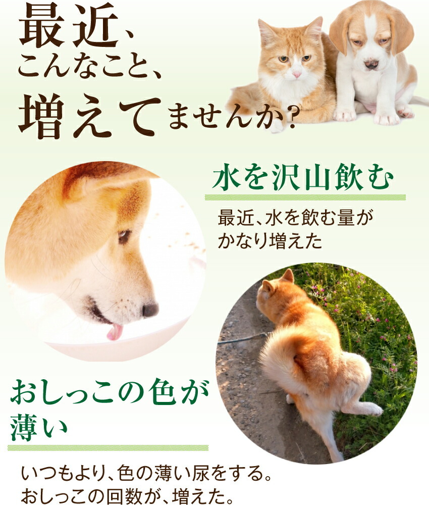 犬・猫・ペットの腎臓・腎臓病のサポート 無添加 サプリ