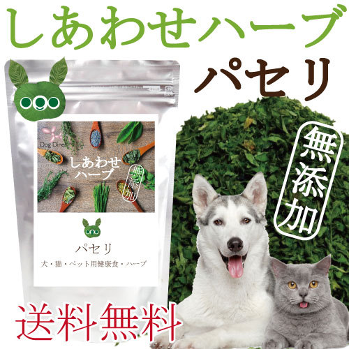 食べる歯磨き革命・犬の口臭・虫歯に