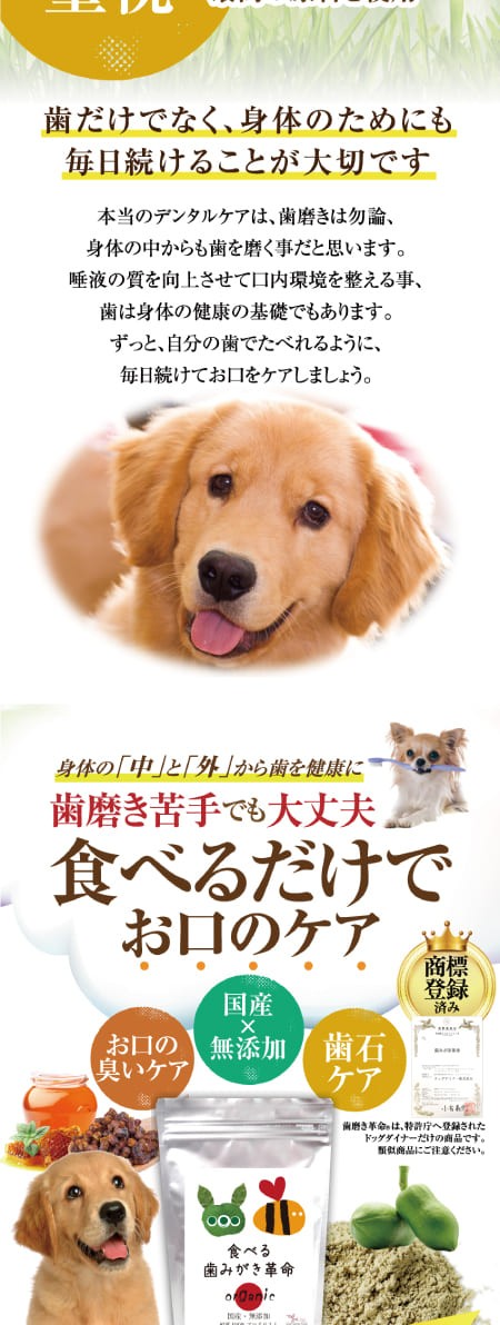 犬 サプリ 口臭 歯周病 歯石 無添加 サプリメント 食べる歯磨き革命 50g 虫歯 デンタルケアに犬用サプリメント 犬のご飯とケーキのドッグダイナー 通販 Yahoo ショッピング