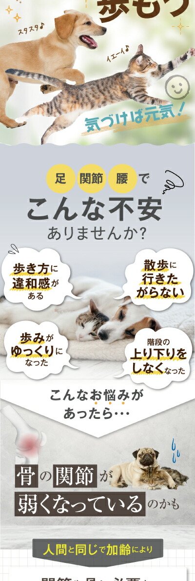 バージョンアップ】犬 猫用 足・腰・関節 サプリメント(骨のたね 60g