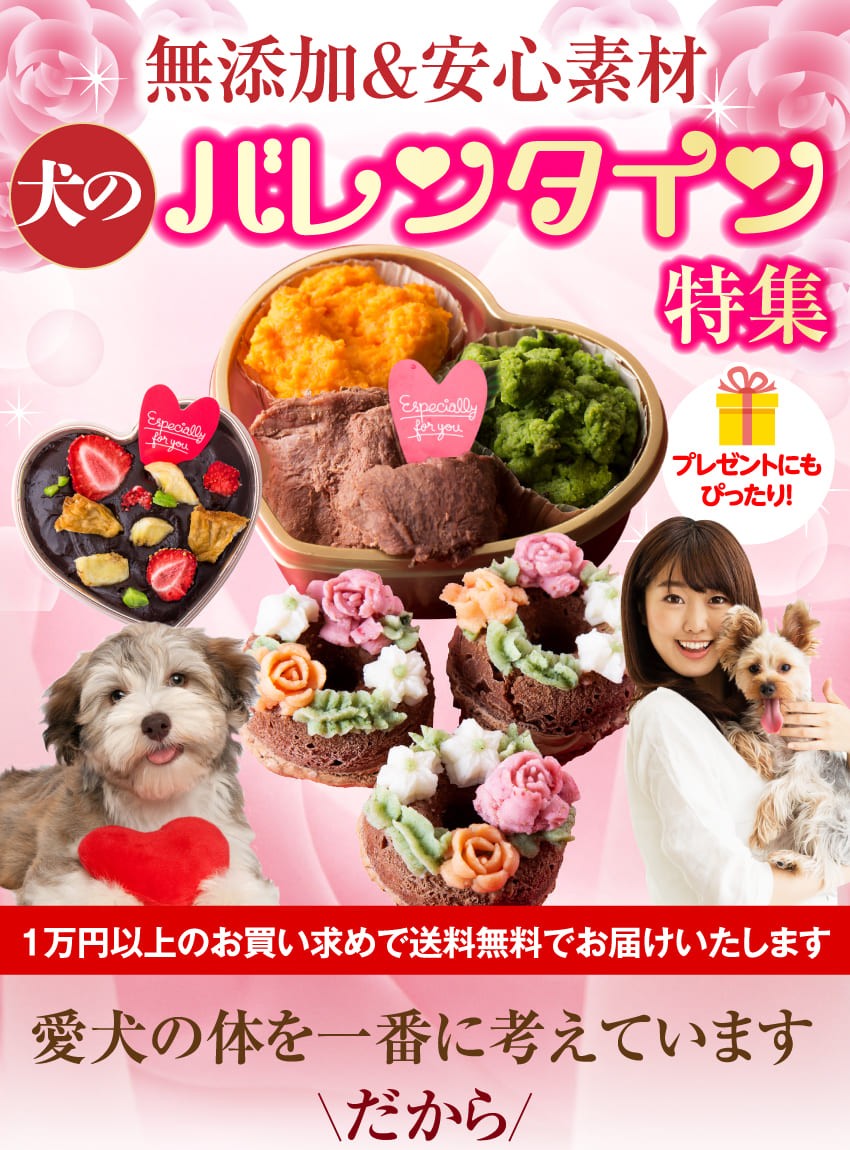 犬のご飯とケーキのドッグダイナー バレンタイン特集 おせち料理 犬用 おせち Yahoo ショッピング