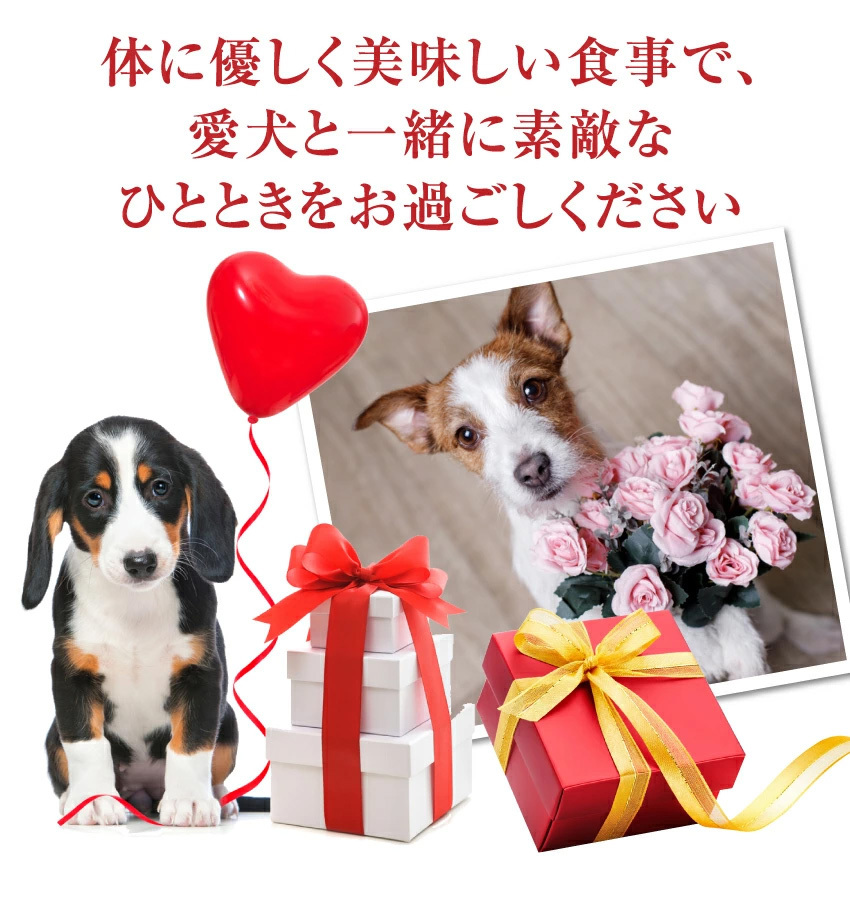 犬のご飯とケーキのドッグダイナー バレンタイン特集 おせち料理 犬用 おせち Yahoo ショッピング