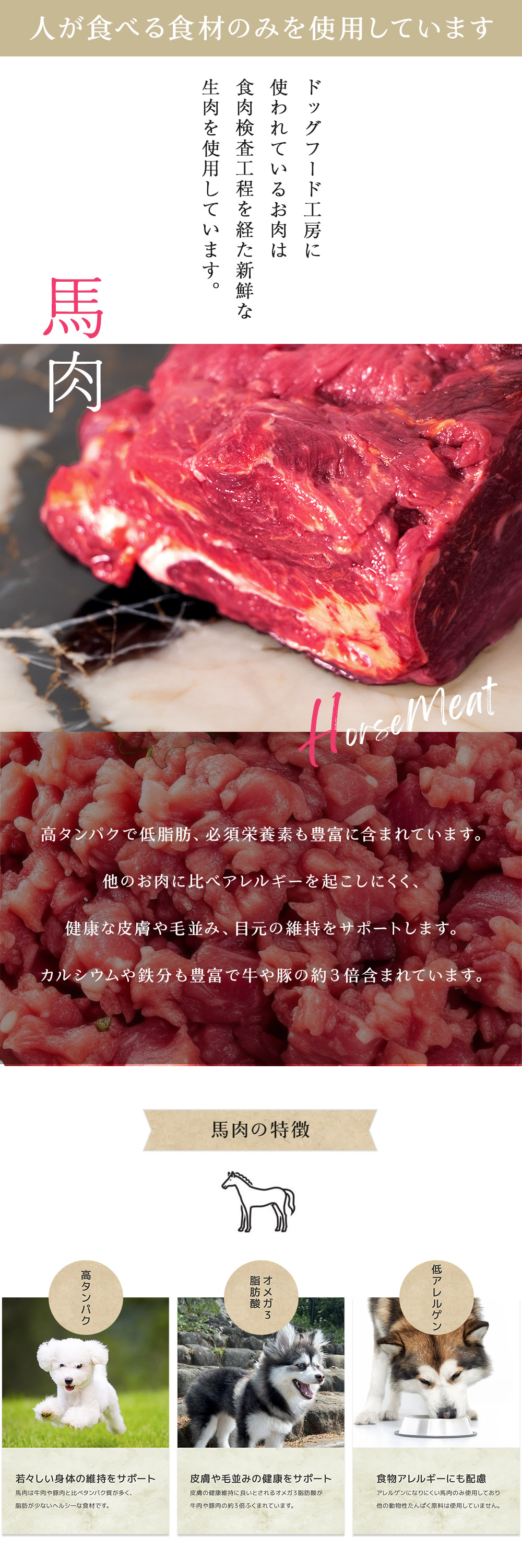 DOG FOOD KOBO（ドッグフード工房） 【公式ドッグフード工房