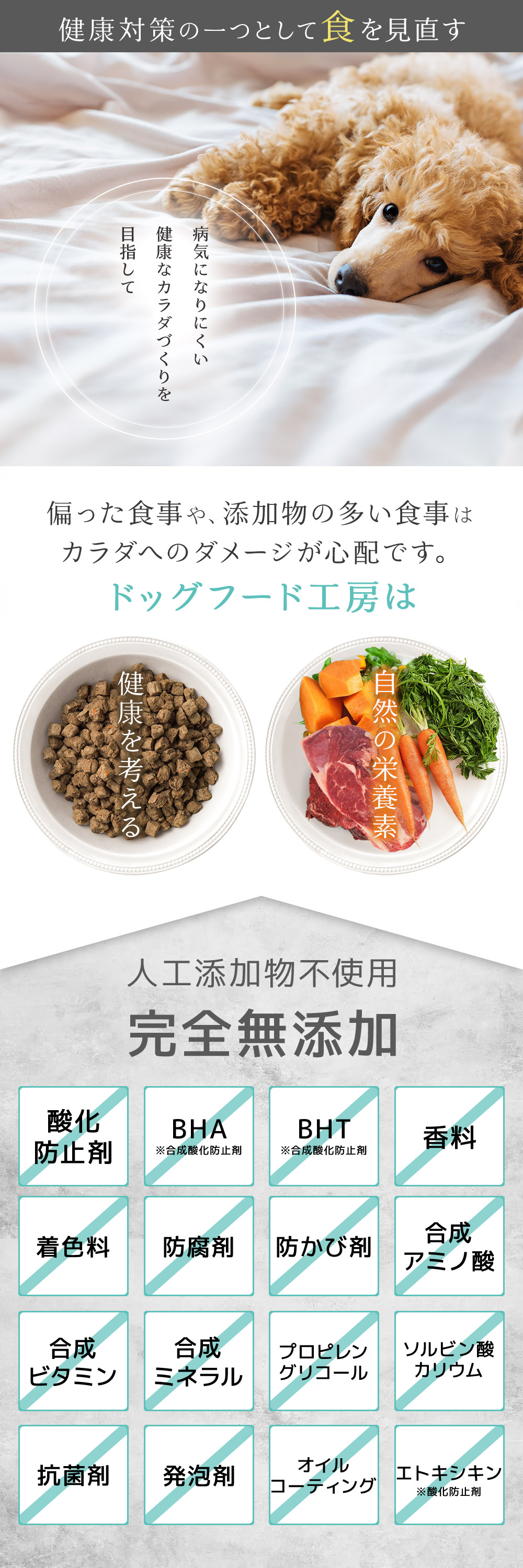 DOG FOOD KOBO（ドッグフード工房） 【公式ドッグフード工房
