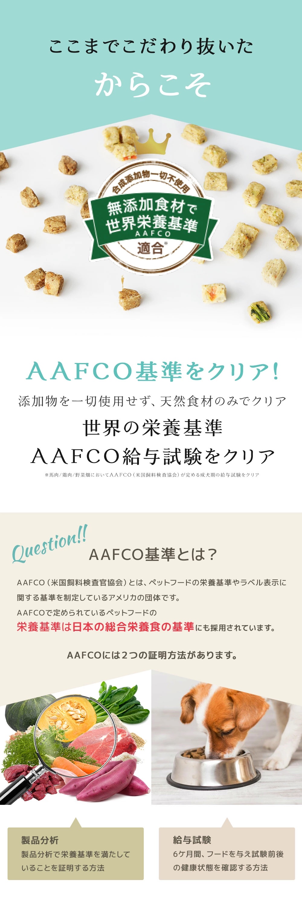 DOG FOOD KOBO（ドッグフード工房） 【公式ドッグフード工房