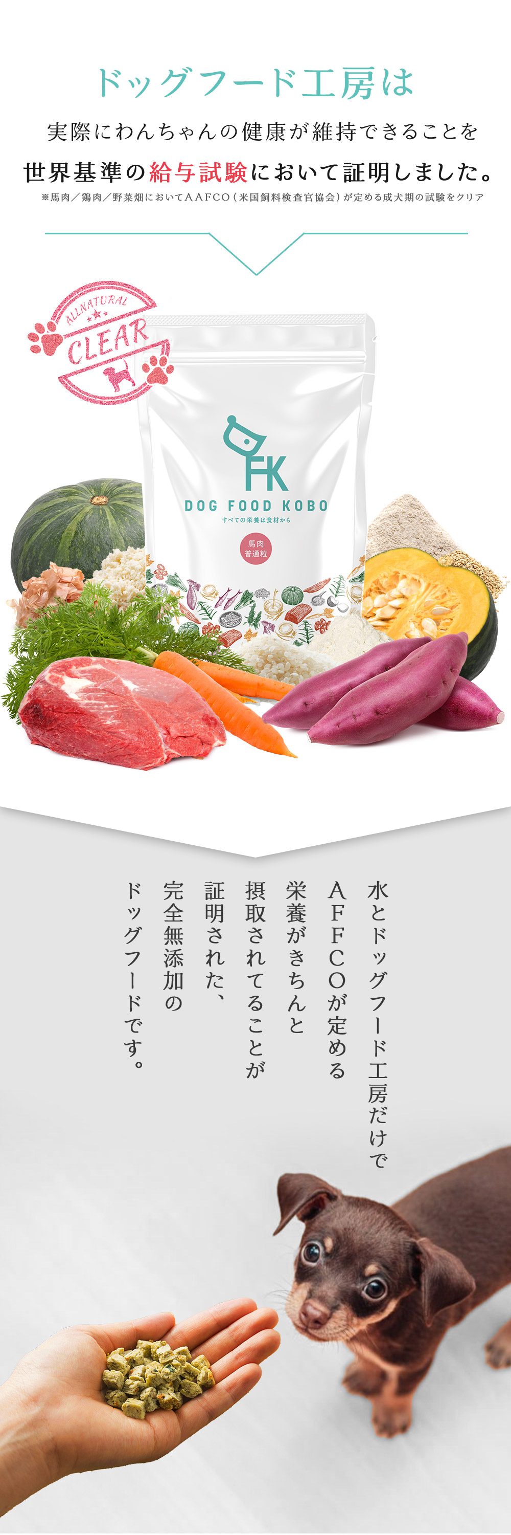 Amazon.co.jp: ドッグフード工房 無添加 国産 (生づくり製法