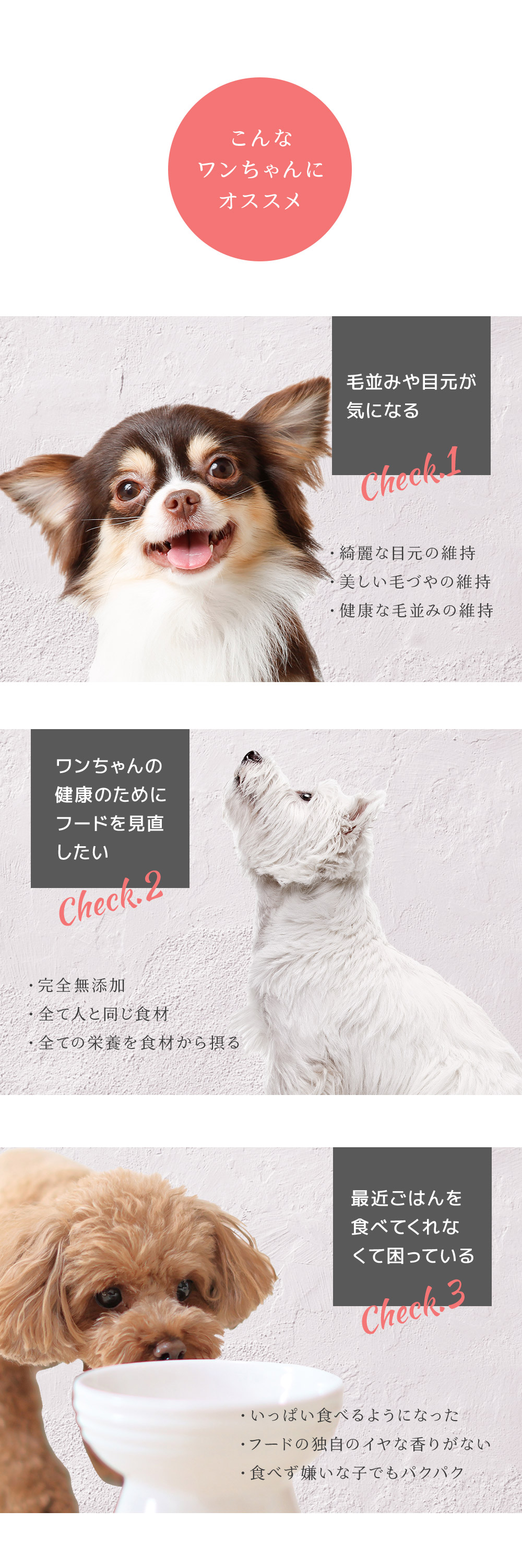 選べる小袋×2