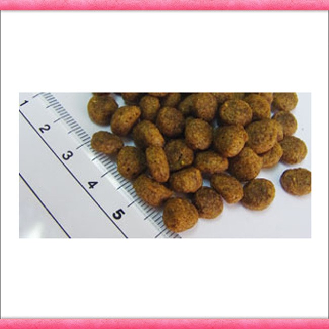 3kg × 2セット フィッシュ４ドッグ　サーモン　小粒 フィッシュ4 ドッグフード フィッシュ4ドッグ ファイネスト サーモン
