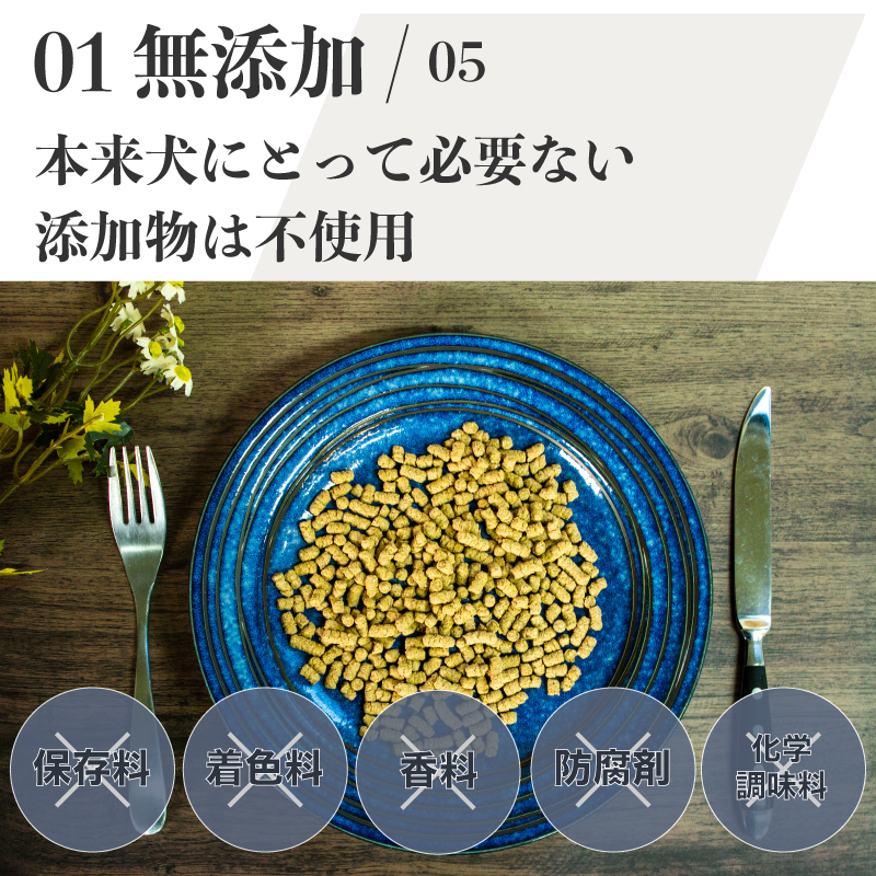 季節の国産魚肉使用の無添加・国産ドッグフード 「フレッシュフィッシュレシピ 500g」 NATURAL REWARDS The Dog Food :  nrd-fish500g : ドッグレーベル - 通販 - Yahoo!ショッピング