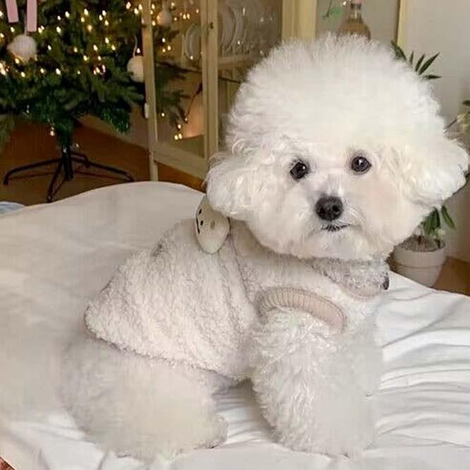 犬服 犬の服 ドッグウェア 超小型犬 小型犬 中型犬 韓国 秋冬 暖かい