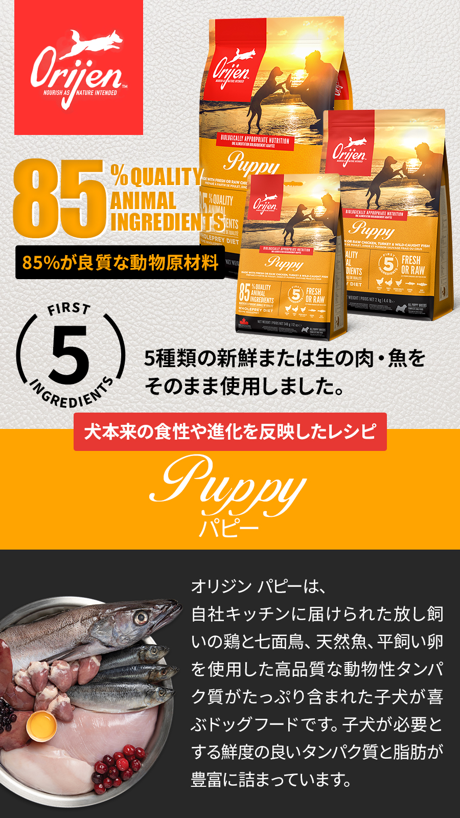 オリジン パピー 6kg ドッグフード 犬 ORIJEN ドック ドライ 子犬