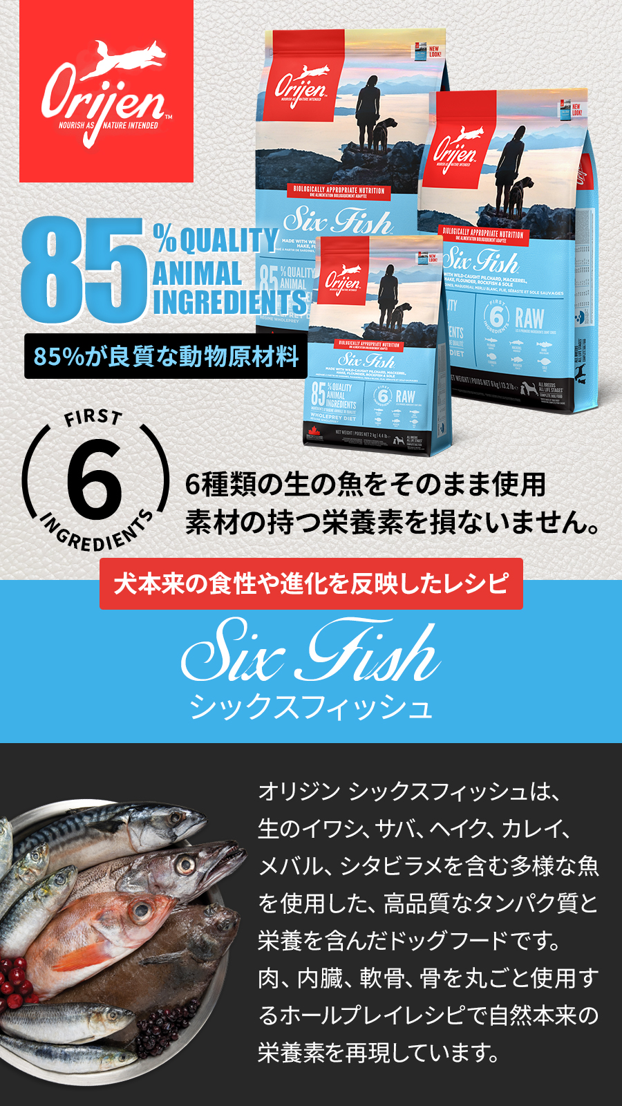 ORIJEN（オリジン） シックスフィッシュ ドッグ 2kg ドッグフード 犬