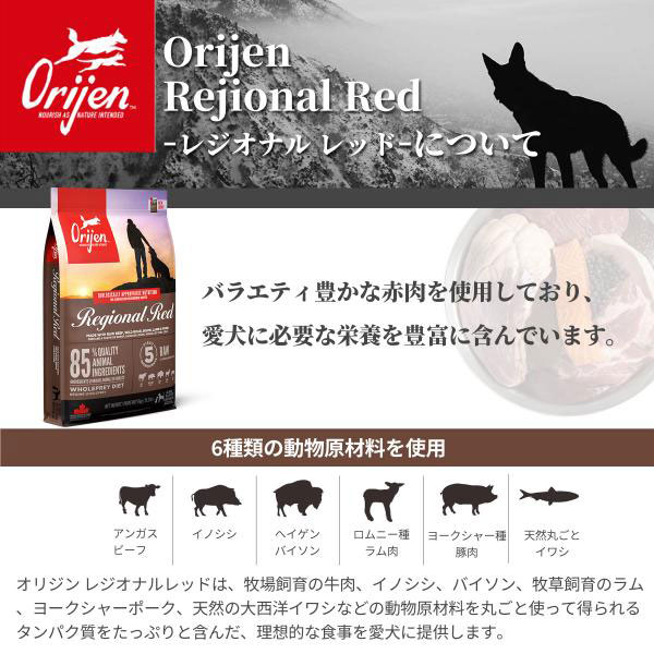 選べるプレゼント付き)オリジン レジオナルレッド ドッグ 11.4kg