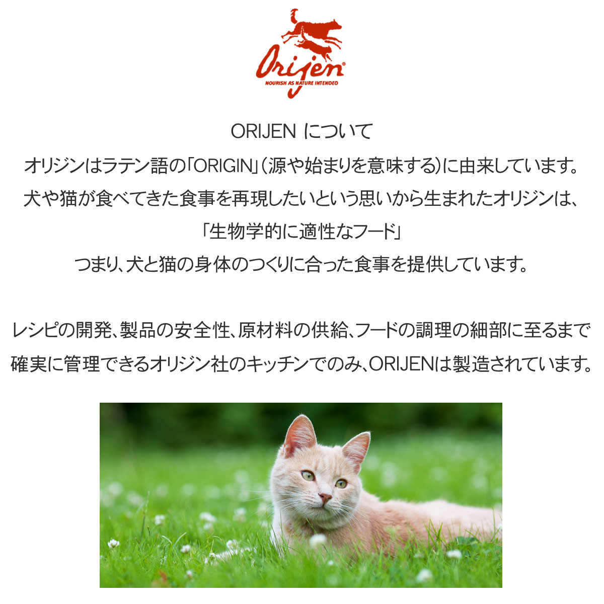 (選べるプレゼント付き)オリジン キトゥン 1.8kg   ORIJEN 正規品 子猫用 キャットフード｜dogparadise-2｜02