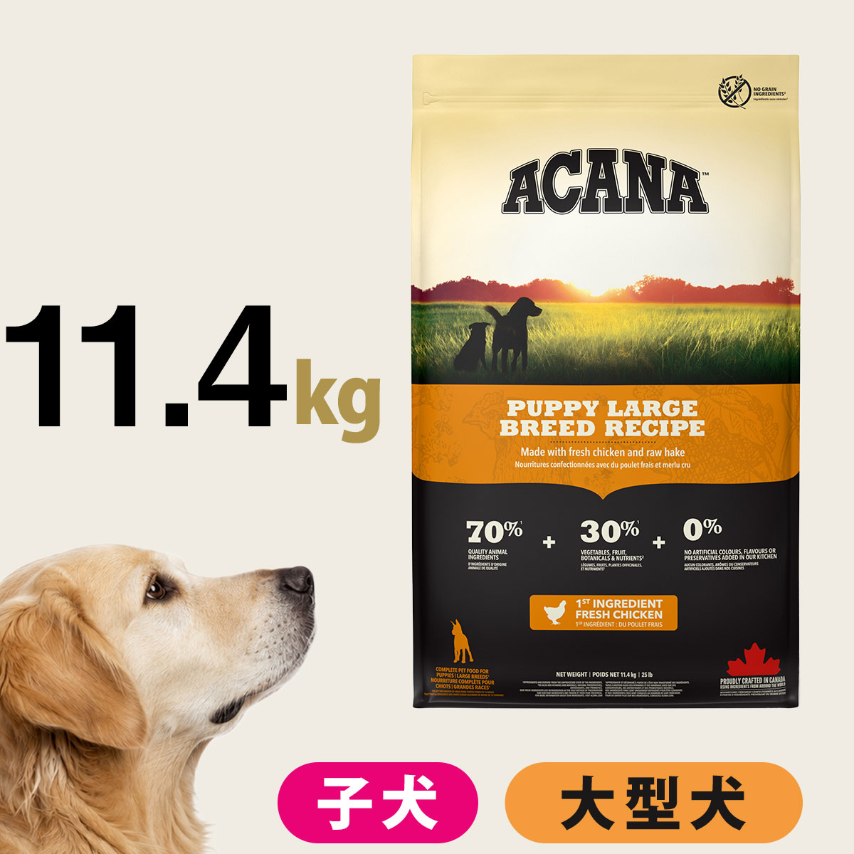 アカナ ACANA パピー ラージブリードレシピ11.4kg