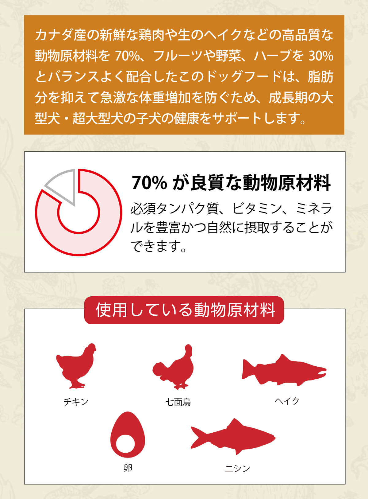 ACANA（アカナ） パピー ラージブリードレシピ11.4kg : ドッグ