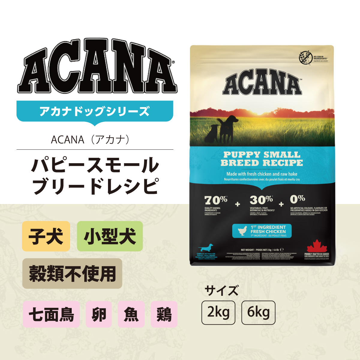 ACANA（アカナ） パピー スモールブリードレシピ6kg : ドッグ
