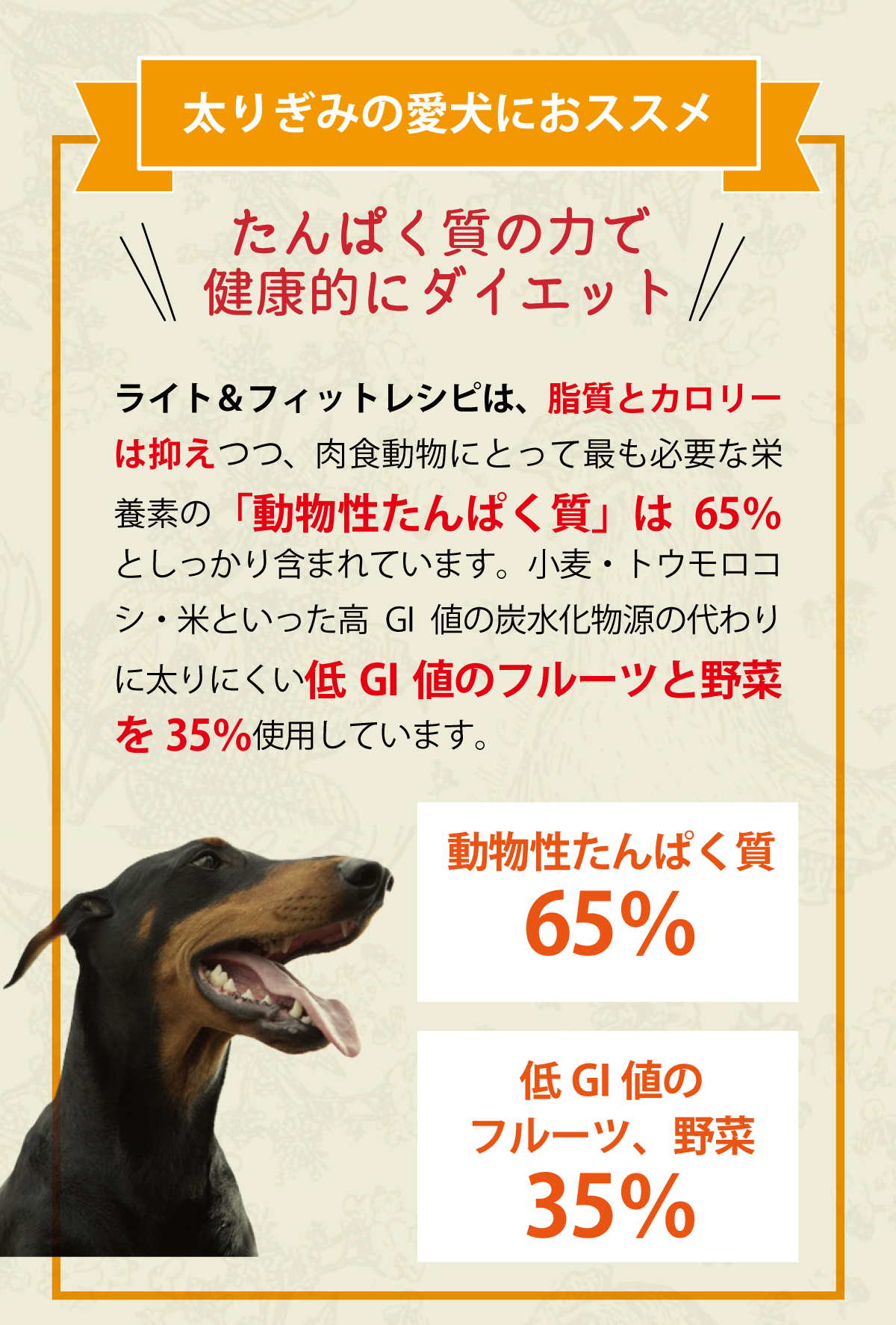 ACANA（アカナ） ライト＆フィットレシピ 2kg : ドッグパラダイス