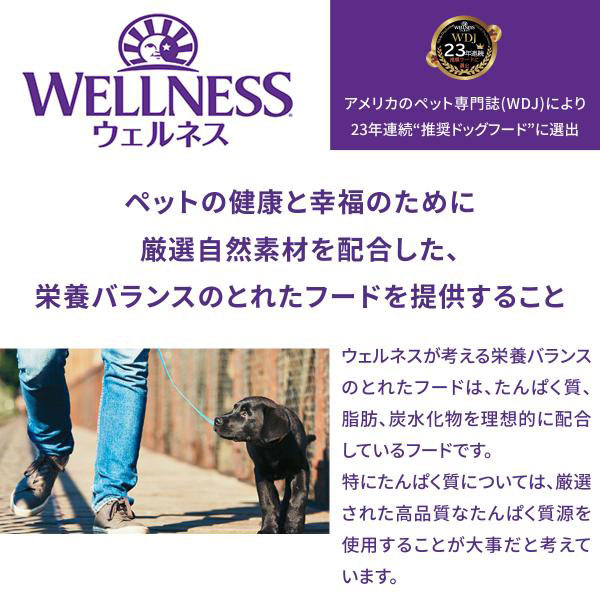 ウェルネスコア 高たんぱく質・穀物不使用 成犬用 (1〜6歳) オーシャンフィッシュ 5.4kg グレインフリー ドッグフード ドライ 犬 乳酸菌_2