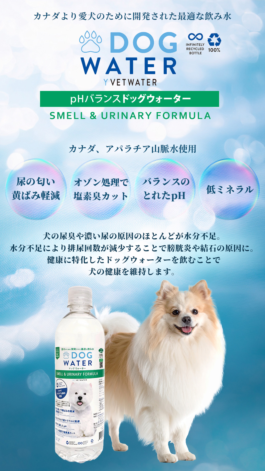 ファンタジーワールド ドッグウォーター 500ml×24本（他商品同梱不可）犬 水 低ミネラル 硝酸塩フリー ペットウォーター 水分補給 尿路結石_1