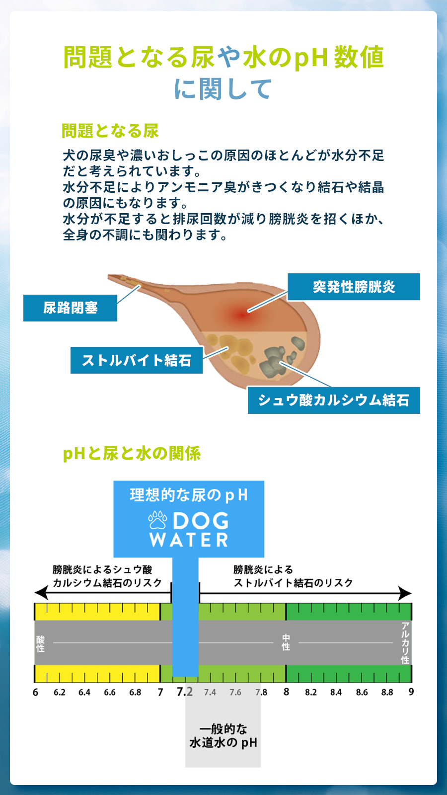 ファンタジーワールド ドッグウォーター 500ml×24本（他商品同梱不可）犬 水 低ミネラル 硝酸塩フリー ペットウォーター 水分補給 尿路結石_3