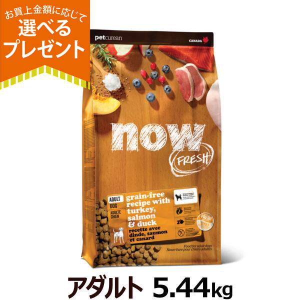 (選べるプレゼント付き)ナウ フレッシュ  アダルト5.44kg 犬 ドッグ ドック 成犬 アダルト フレッシュミート ドライ