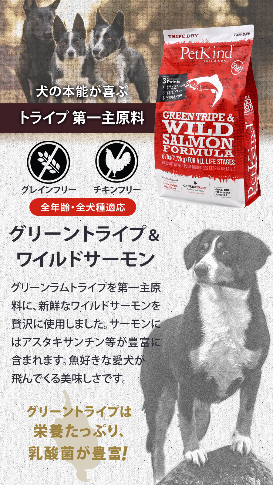 ペットカインド トライプドライ グリーントライプ＆ワイルドサーモン