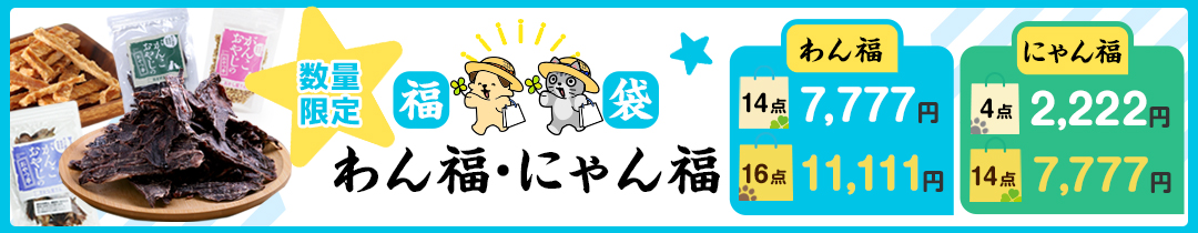 福袋バナー