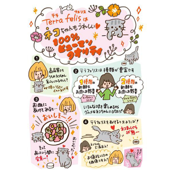 Terra Felis 鶏肉とラム 18缶セット 消費期限6月10日有り Terra