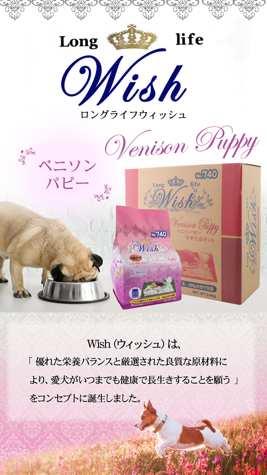 ウィッシュ ベニソンパピー 720g wish ドッグフード ドックフード 犬 