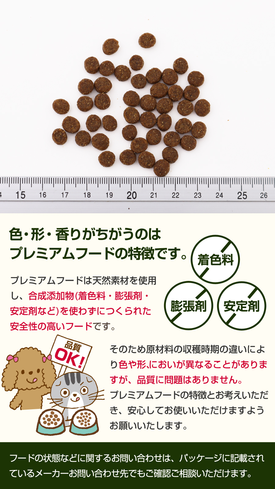 ウィッシュ ワイルドパピー11kg wish ドッグフード ドックフード 犬