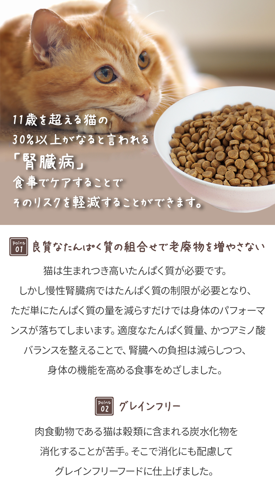 カントリーロード お魚でつくった腎臓ケア 食事療法食 チキン