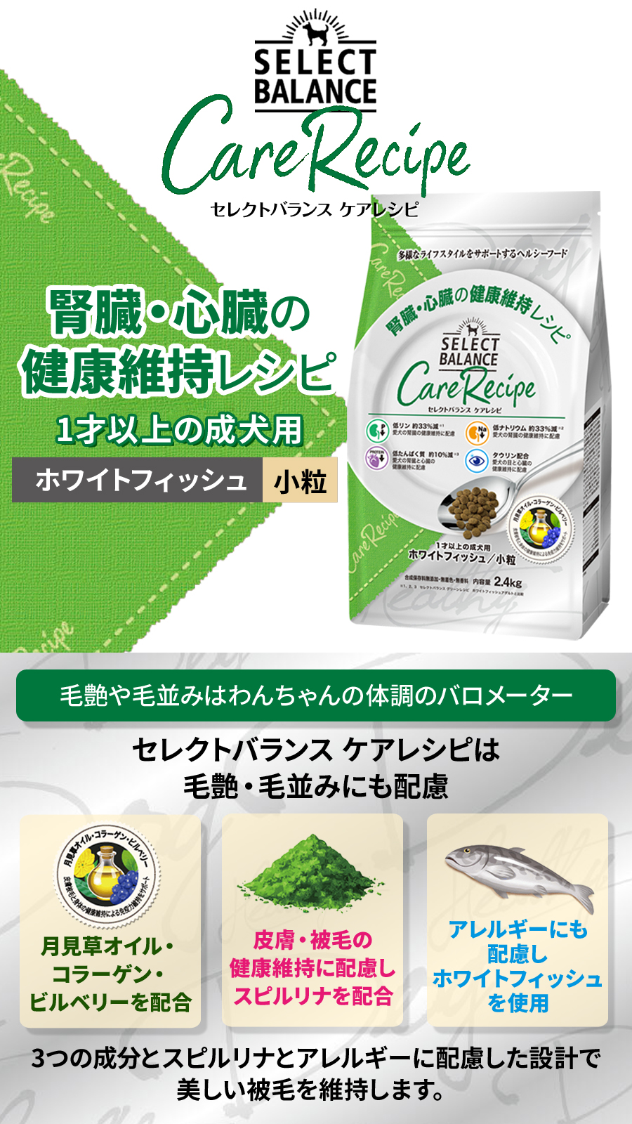 SELECT BALANCE セレクトバランス ケアレシピ 腎臓・心臓の健康維持