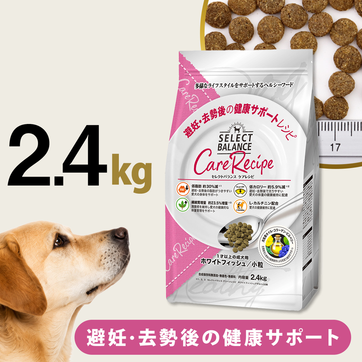 セレクトバランス成犬用 小粒 2.4kg セレクトバランスグリーンレシピ