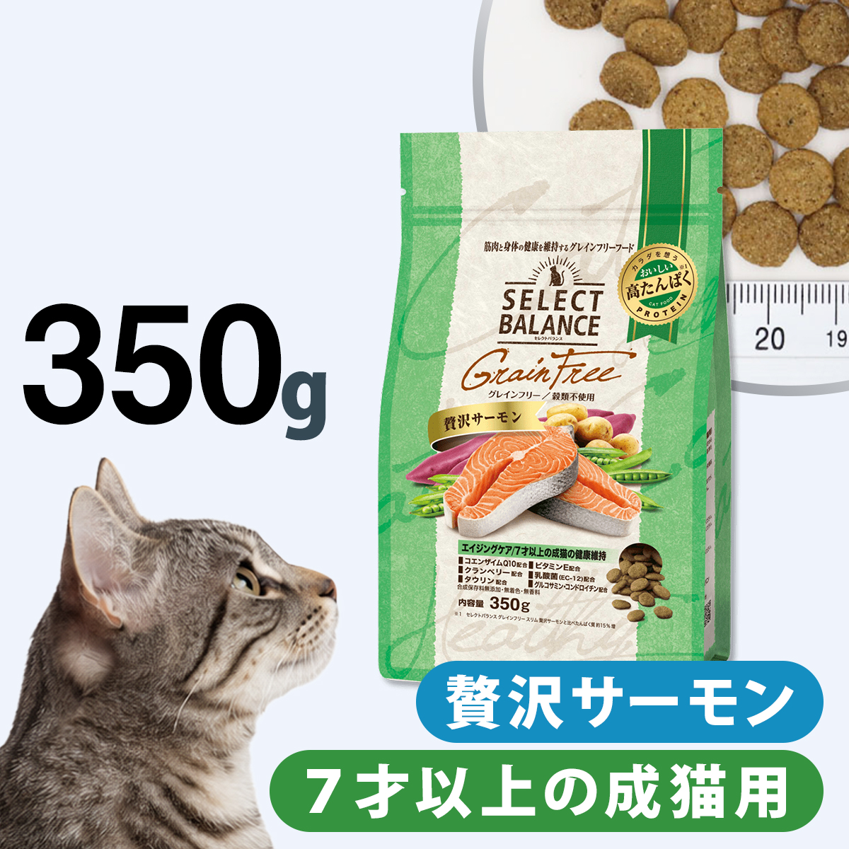 猫用品 セレクトバランス グレインフリー 猫 サーモン キトン 大容量 10kg
